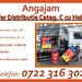 Sofer distributie categ. C cu Helper,